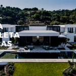 Ants, Ants, Ants: How To Control An Infestation